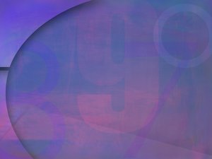 興安盟電子有限責任公司